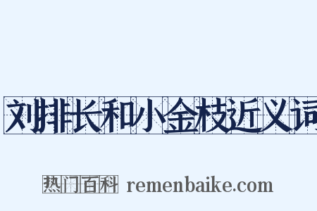 刘排长和小金枝近义词是什么意思的图片
